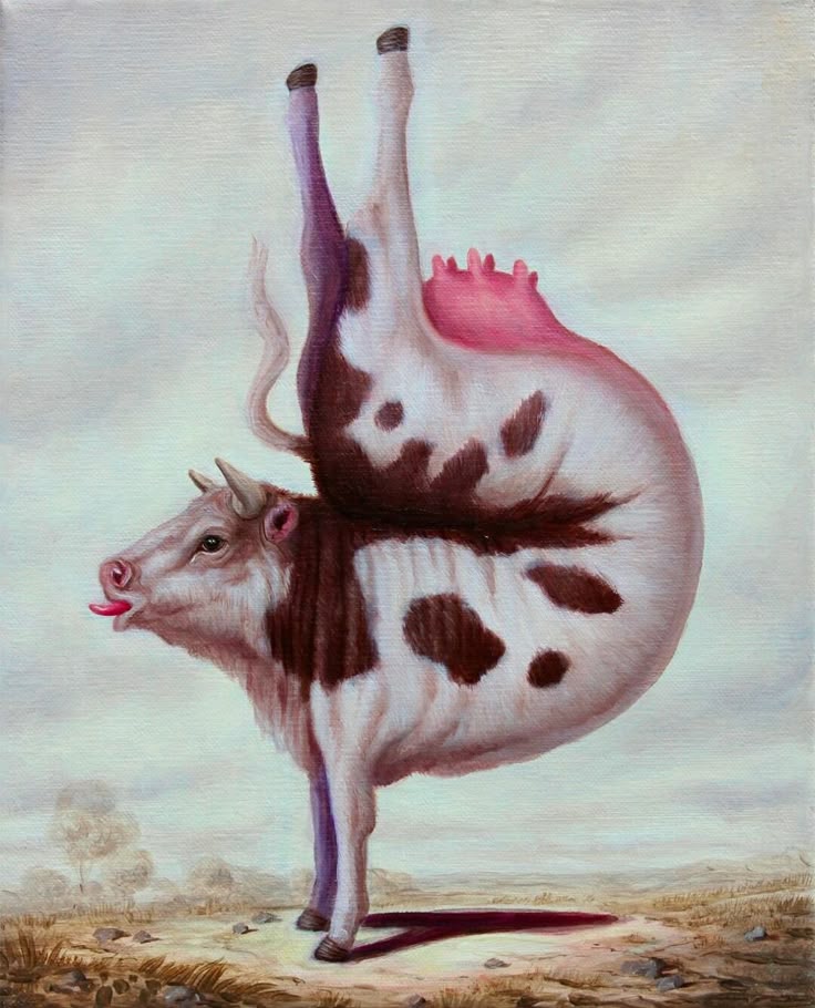 Zumba Cow